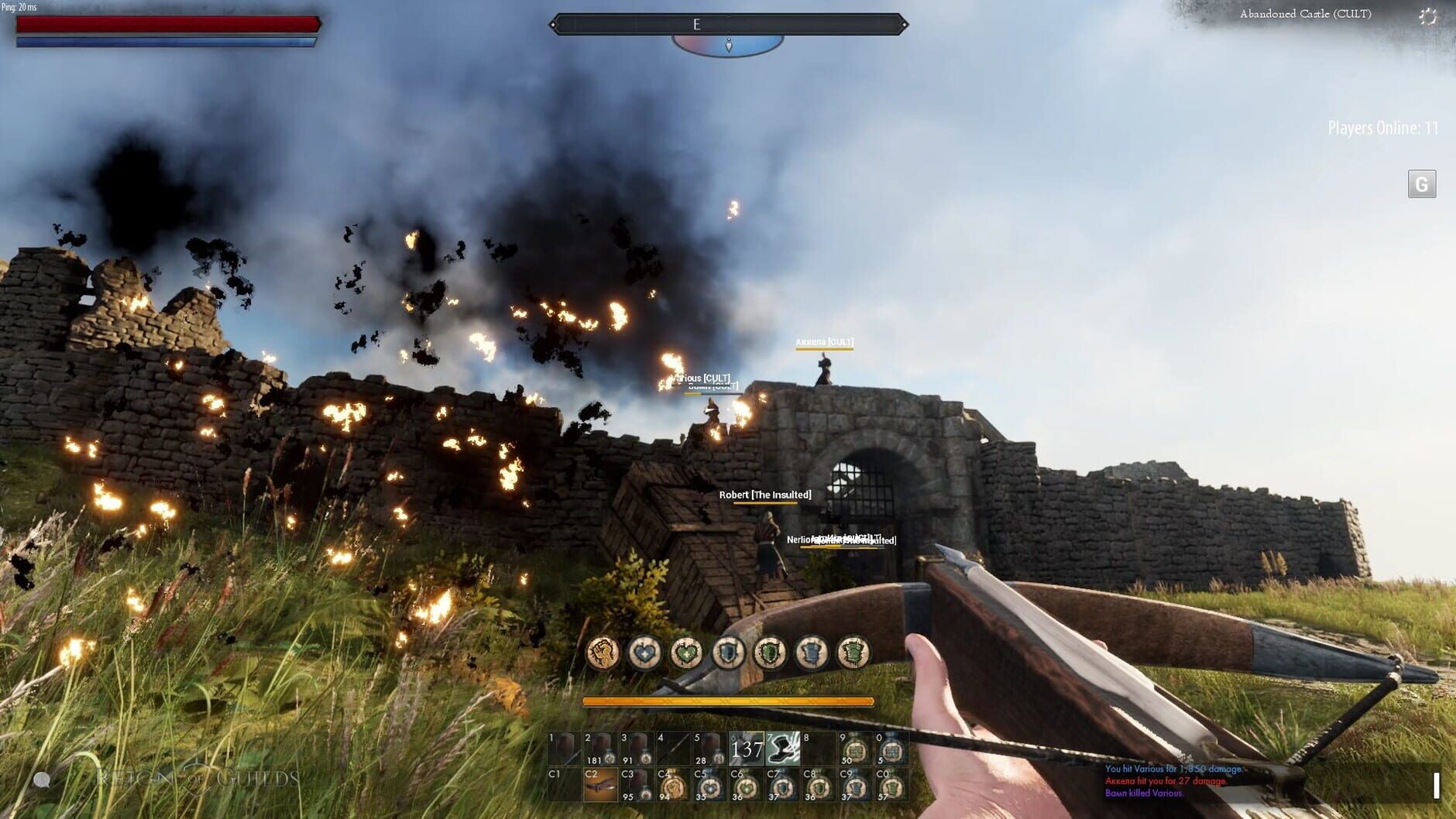Screenshot for Reign of Guilds