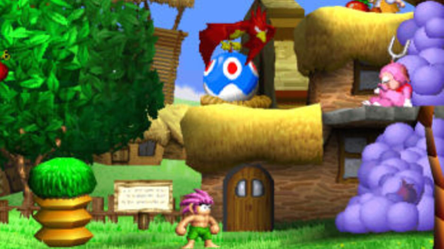 Screenshot for Tomba!