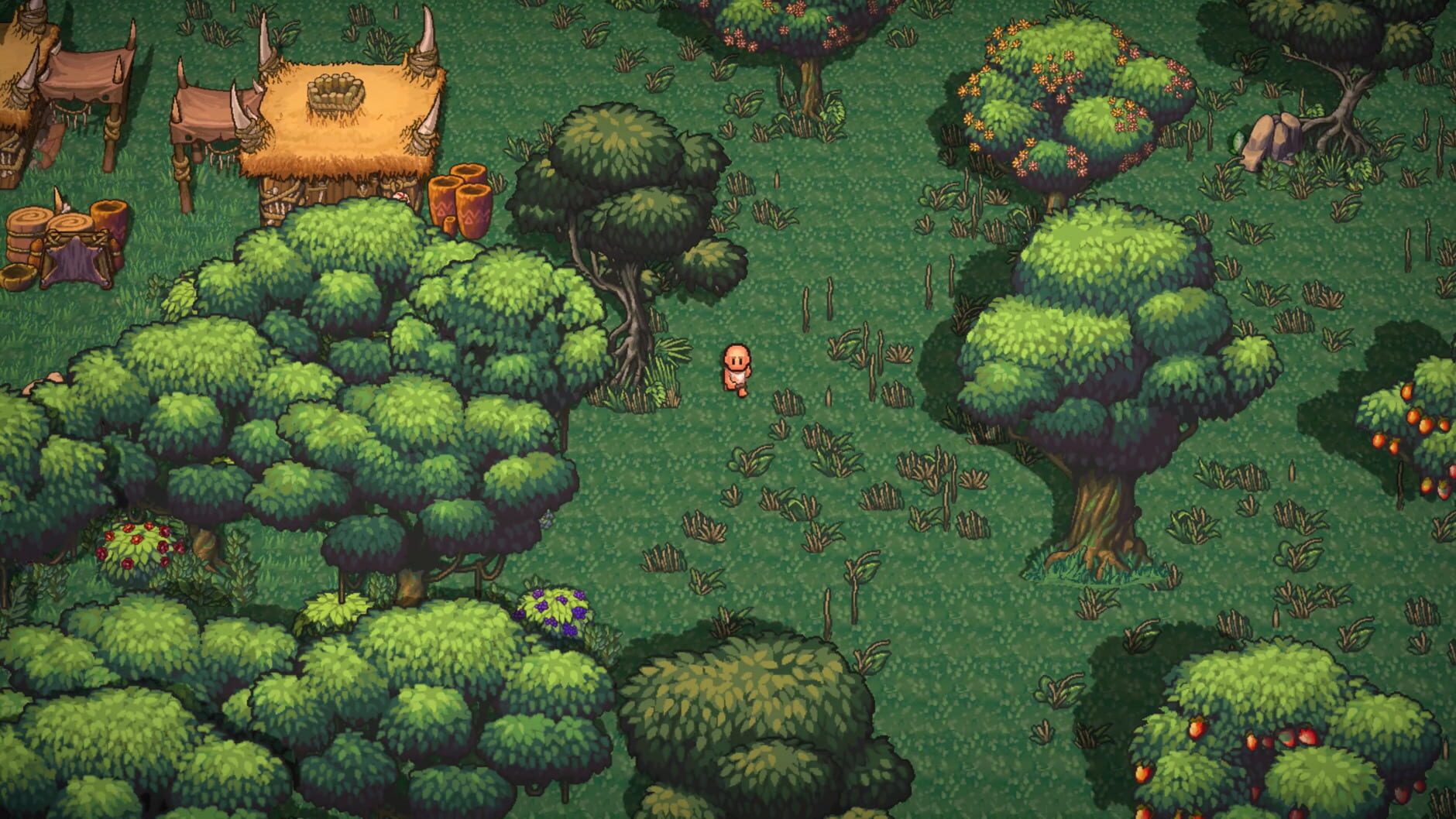 Screenshot for The Survivalists