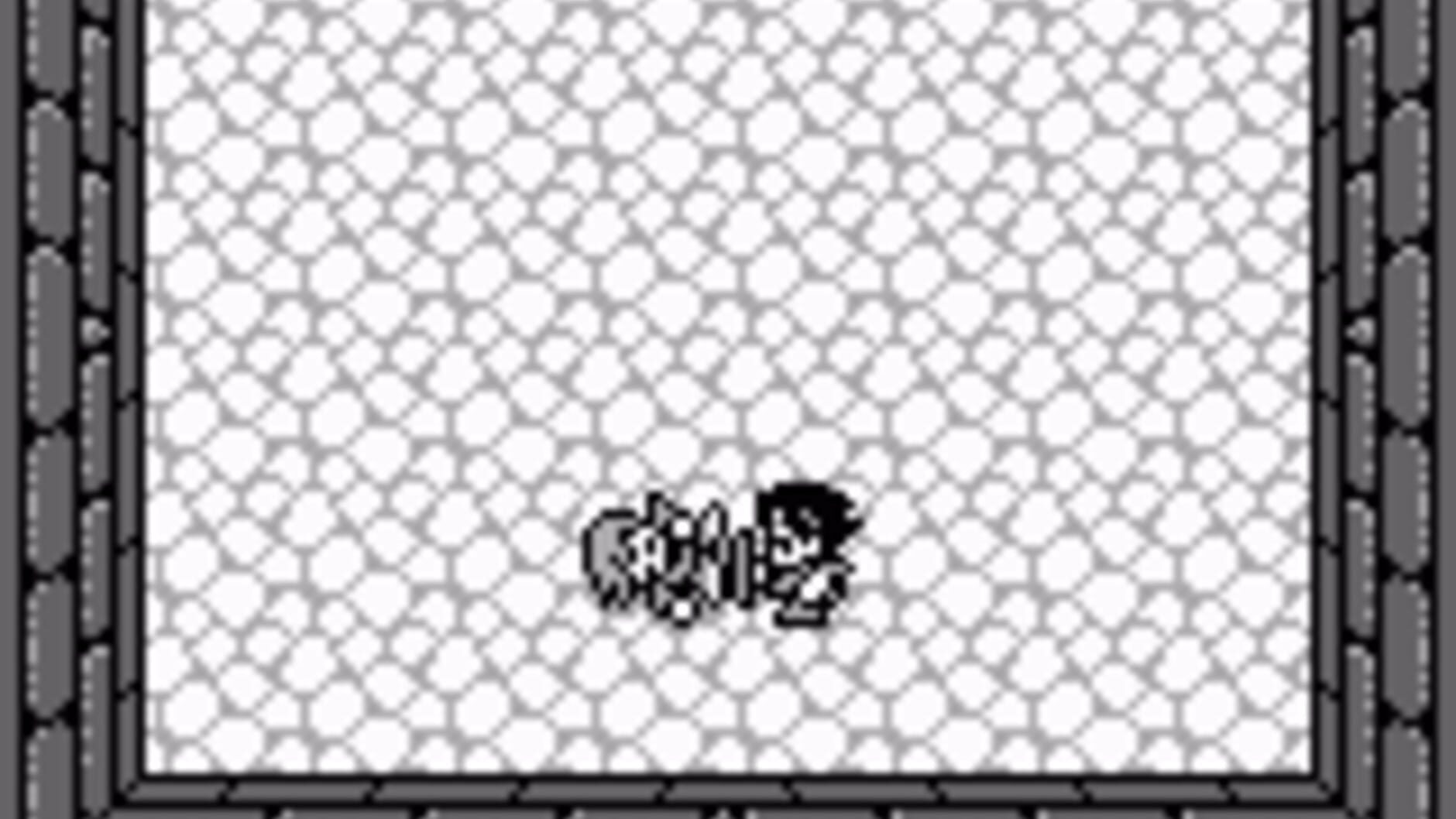 Screenshot for Final Fantasy Adventure