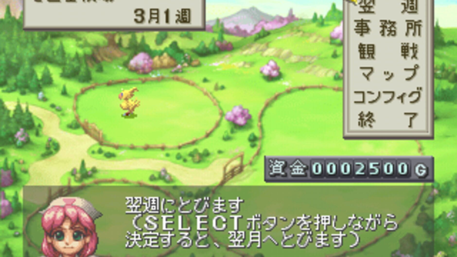 Screenshot for Chocobo Stallion