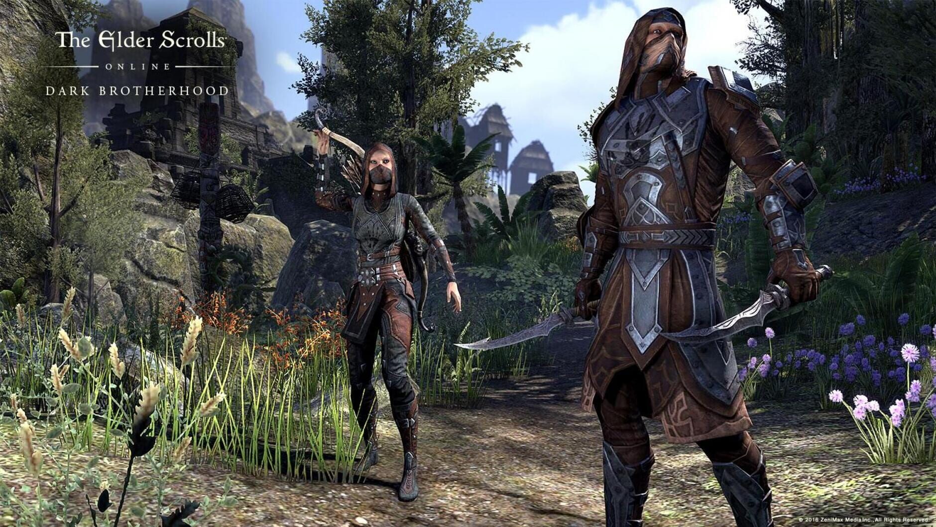 Screenshot for The Elder Scrolls Online: Dark Brotherhood