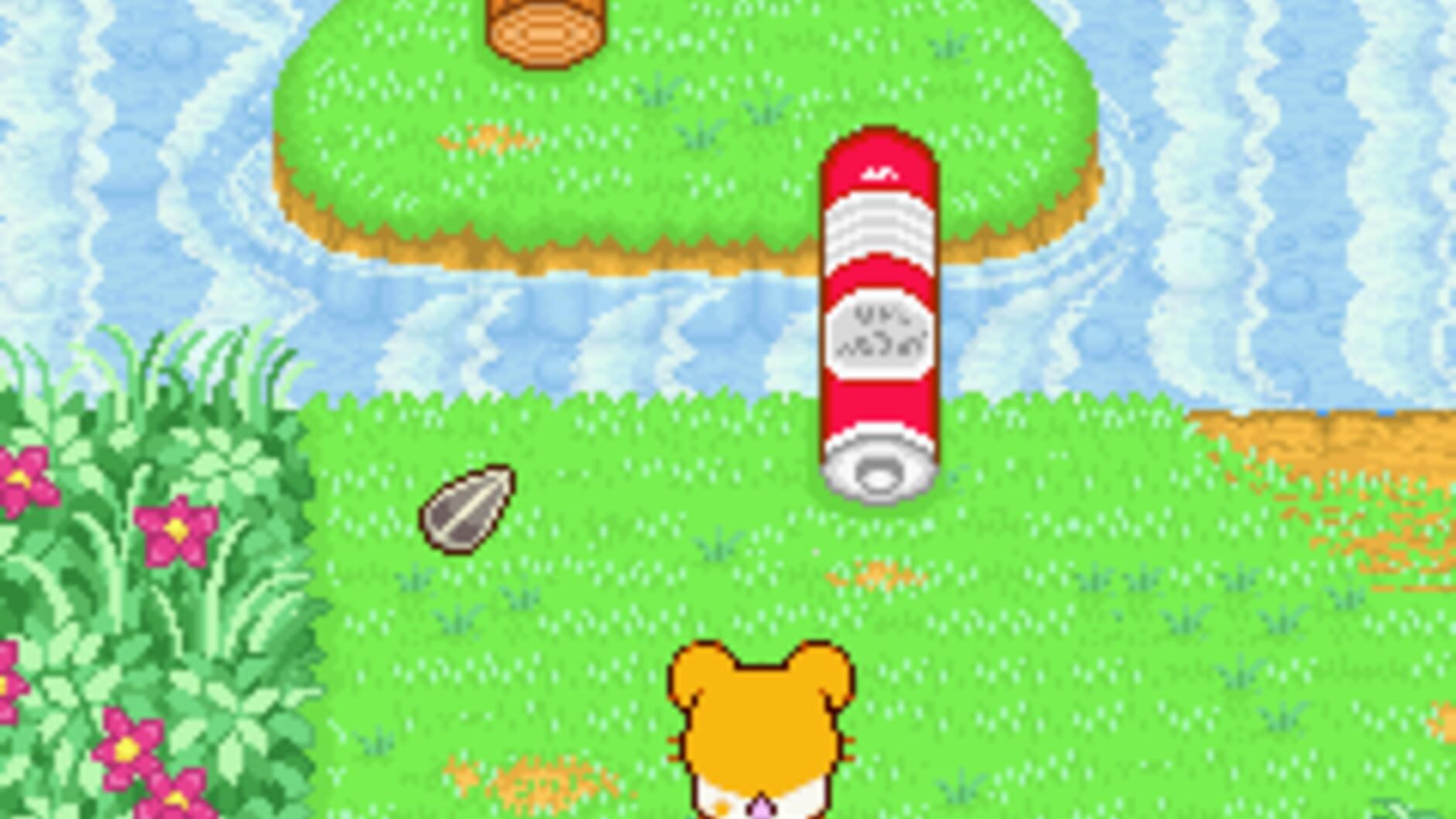 Screenshot for Hamtaro: Ham-Ham Heartbreak