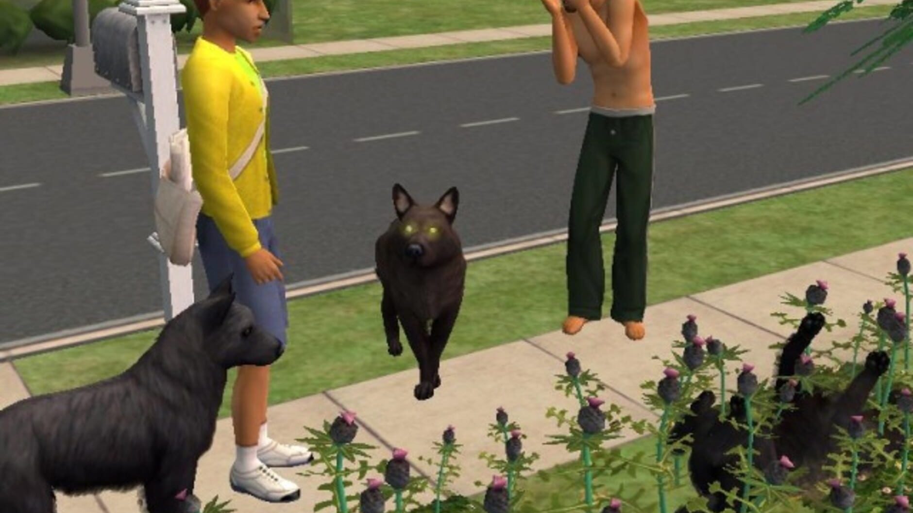 Screenshot for The Sims 2: Pets