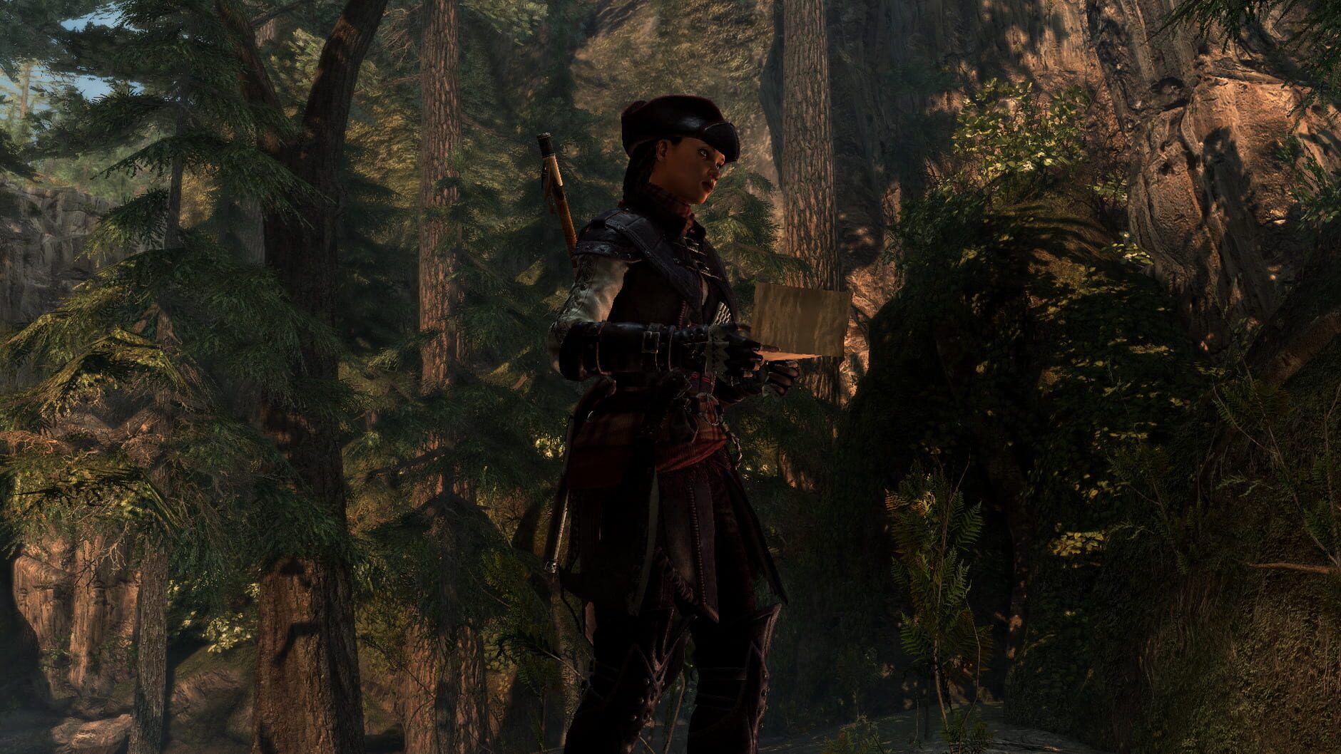 Screenshot for Assassin's Creed IV Black Flag: Aveline