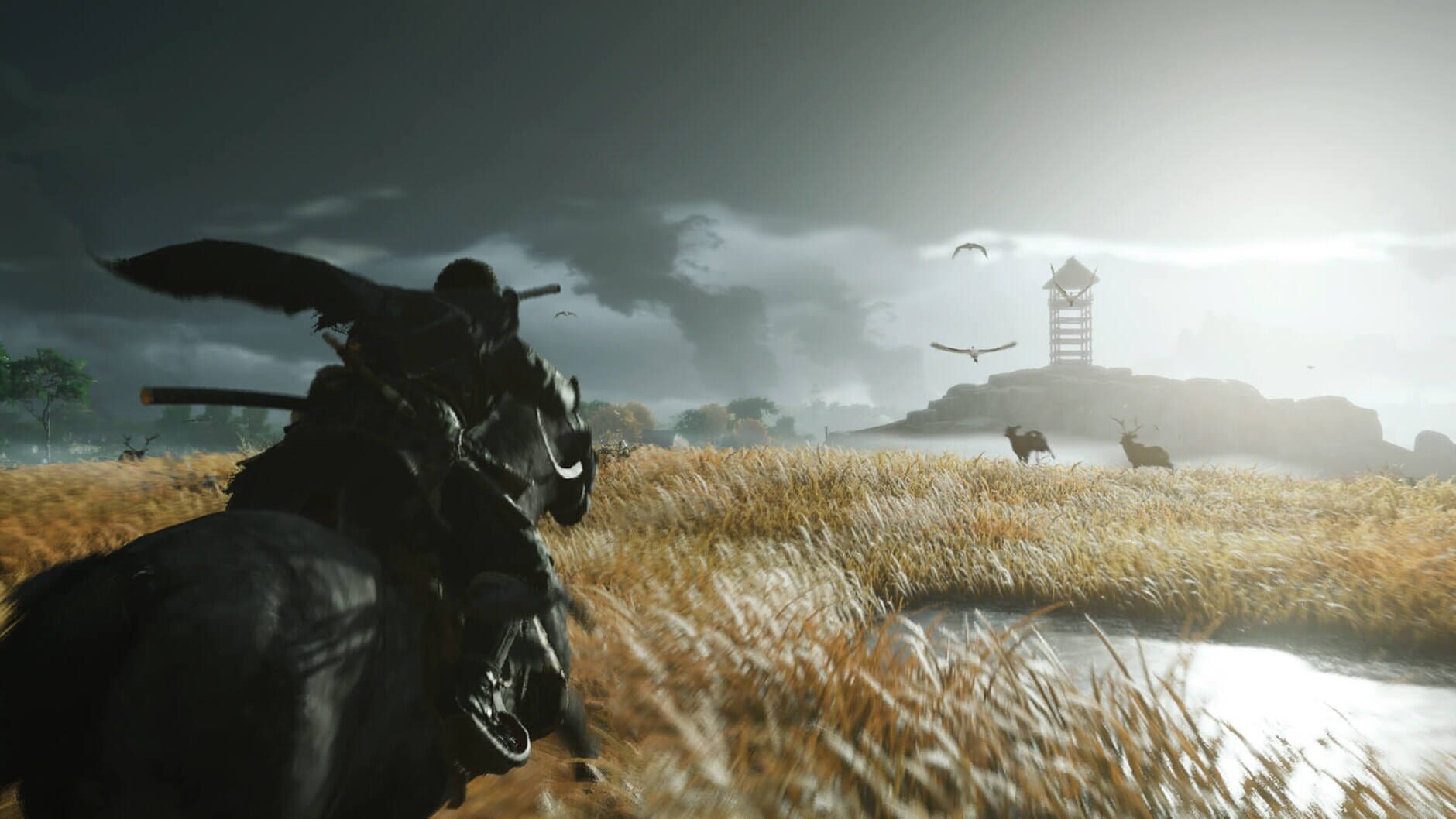 Screenshot for Ghost of Tsushima: Digital Deluxe Edition