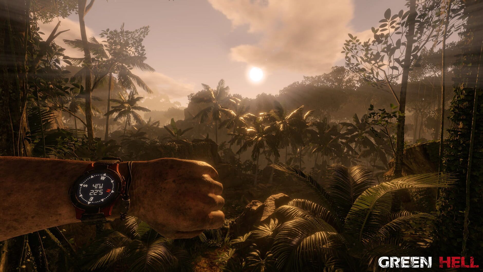 Screenshot for Green Hell