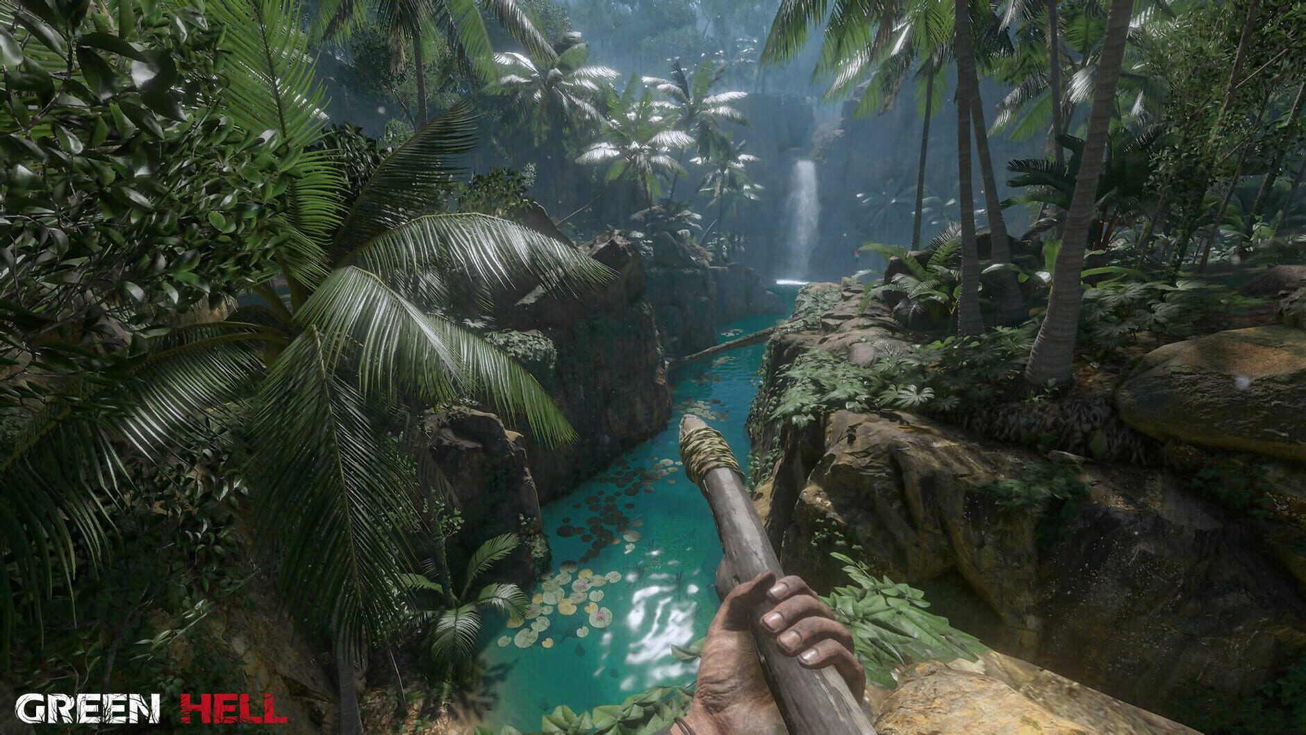 Screenshot for Green Hell