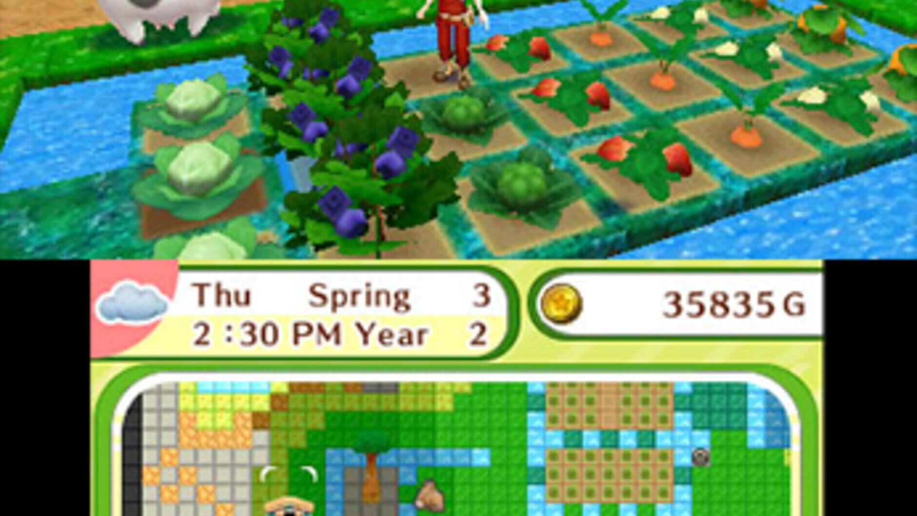 Screenshot for Harvest Moon: Skytree Village