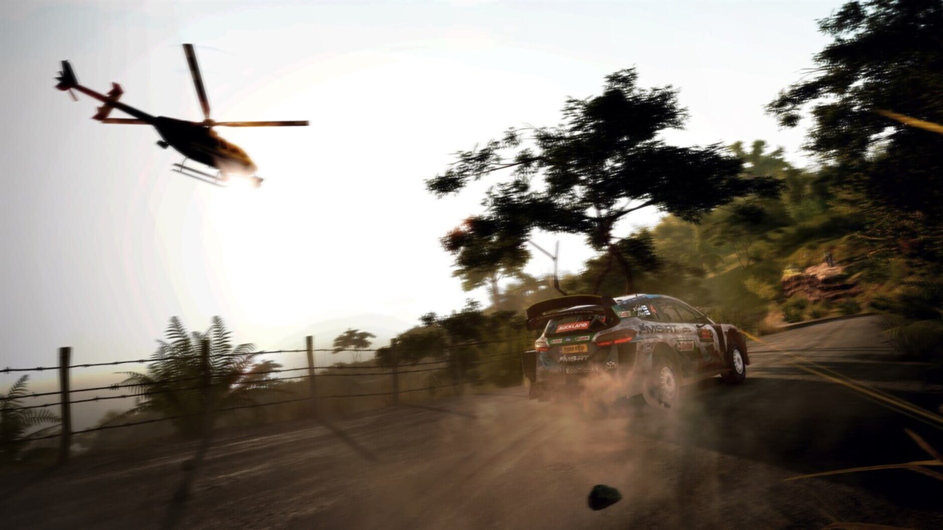 Screenshot for WRC 9