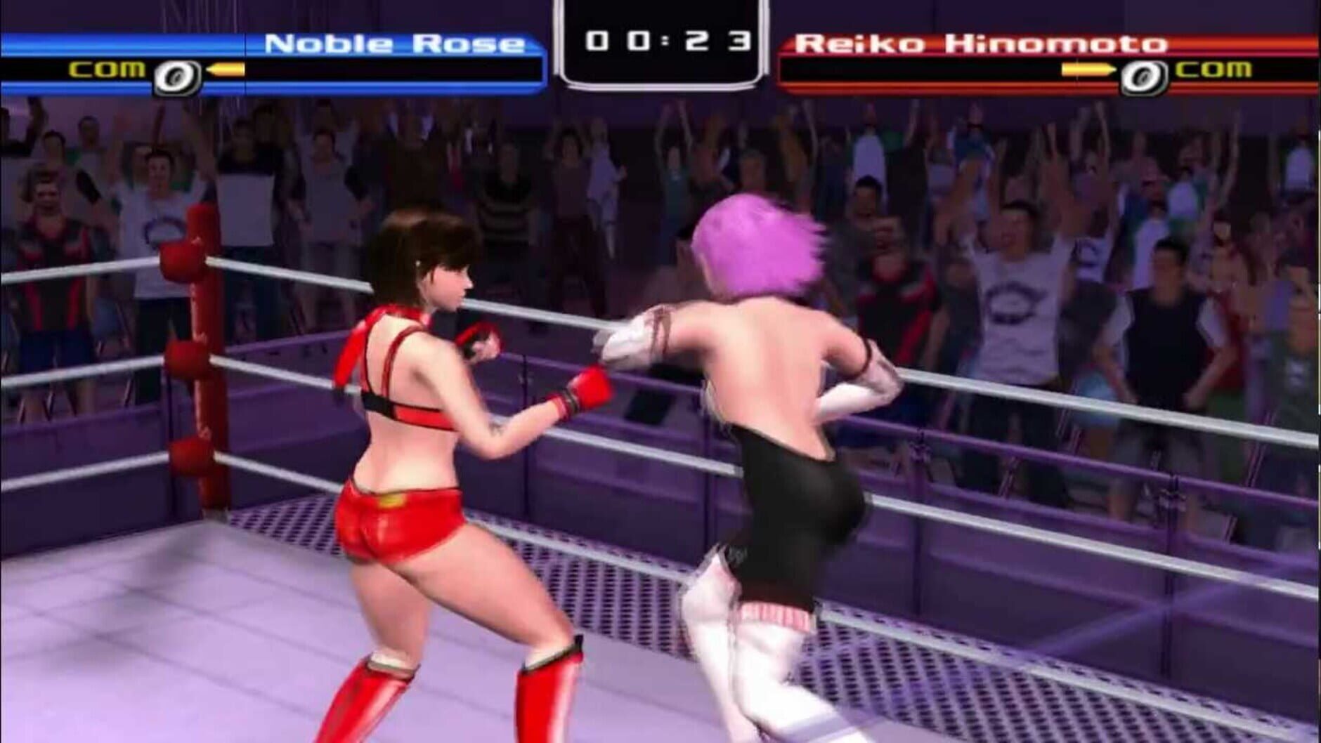 Screenshot for Rumble Roses