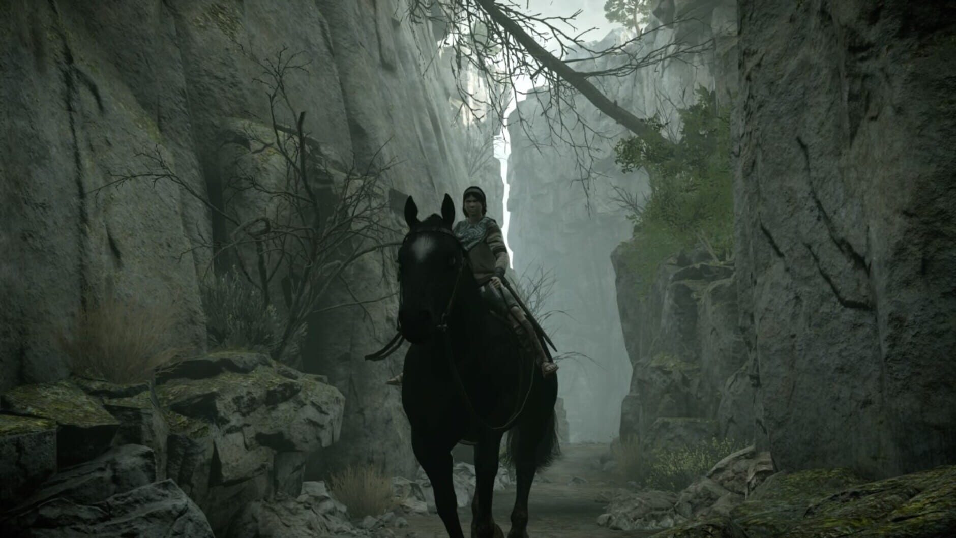 Screenshot for Shadow of the Colossus: Special Edition