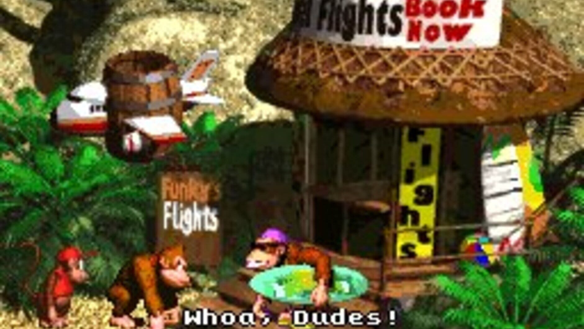 Screenshot for Donkey Kong Country