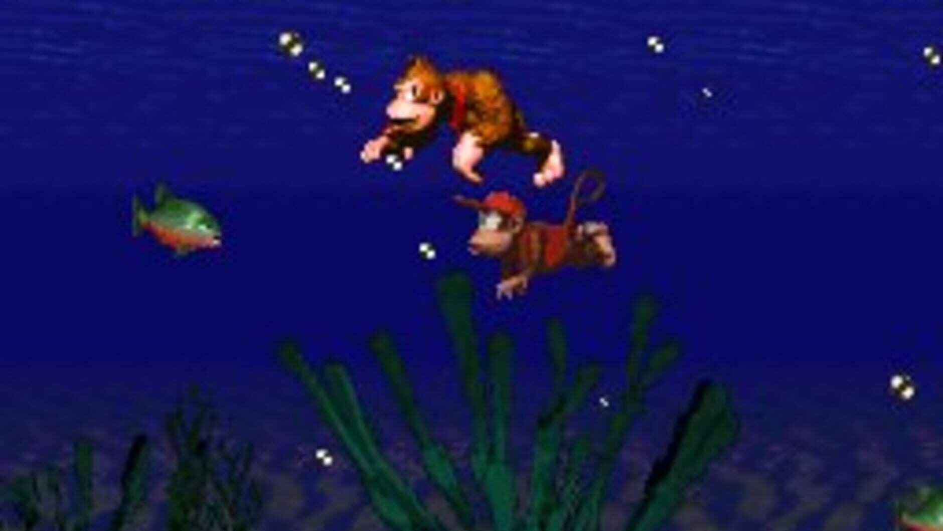 Screenshot for Donkey Kong Country