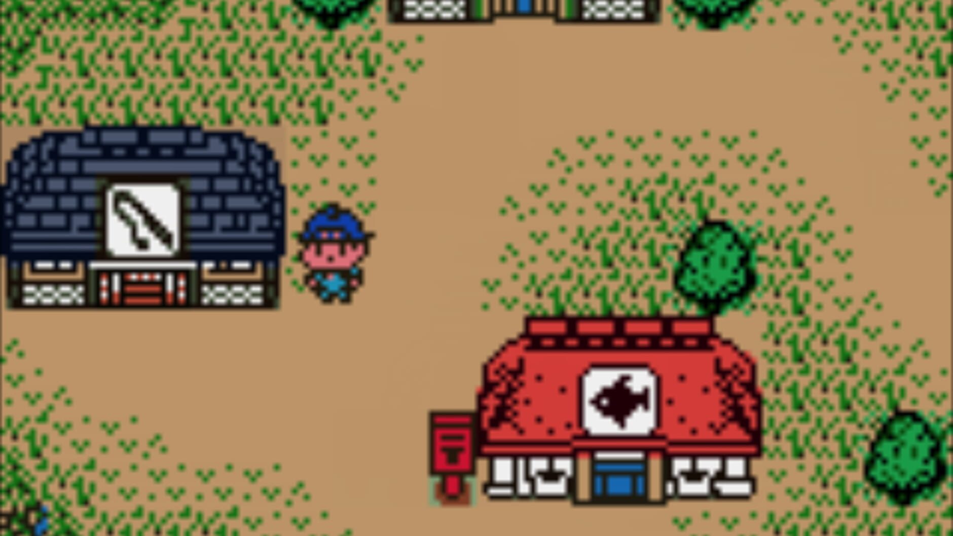 Screenshot for Legend of the River King GBC
