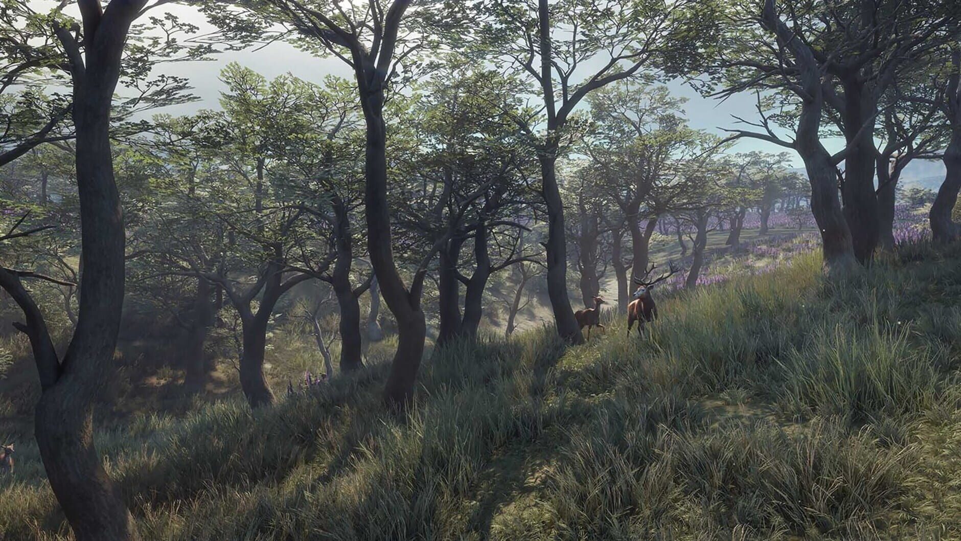 Screenshot for TheHunter: Call of the Wild - 2021 Edition