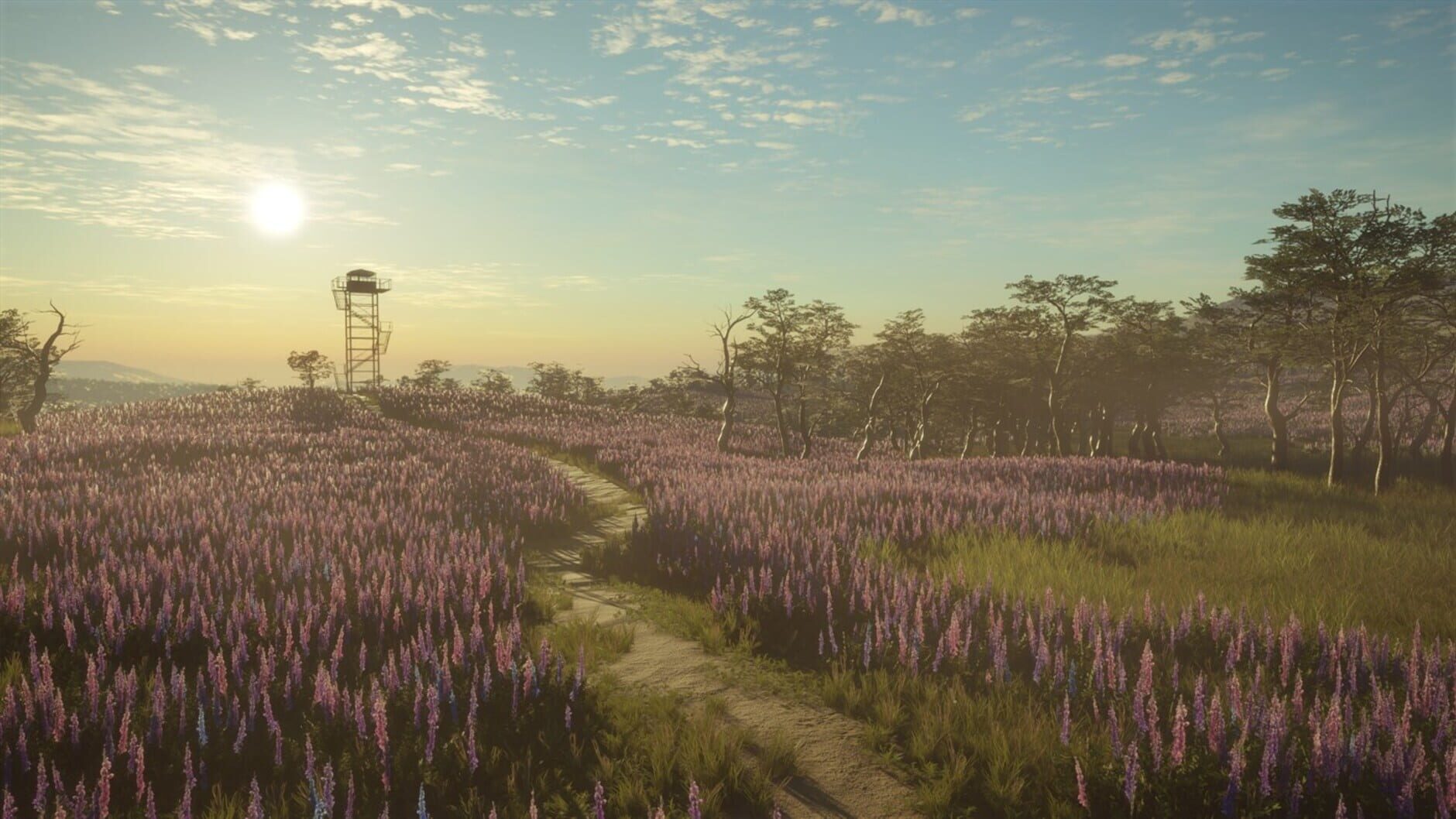 Screenshot for TheHunter: Call of the Wild - 2021 Edition