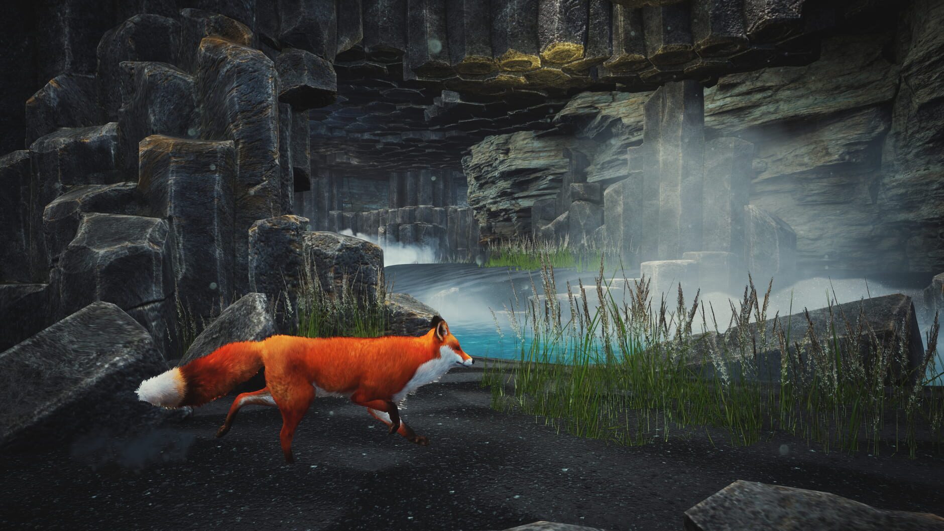 Screenshot for Spirit of the North: Enhanced Edition