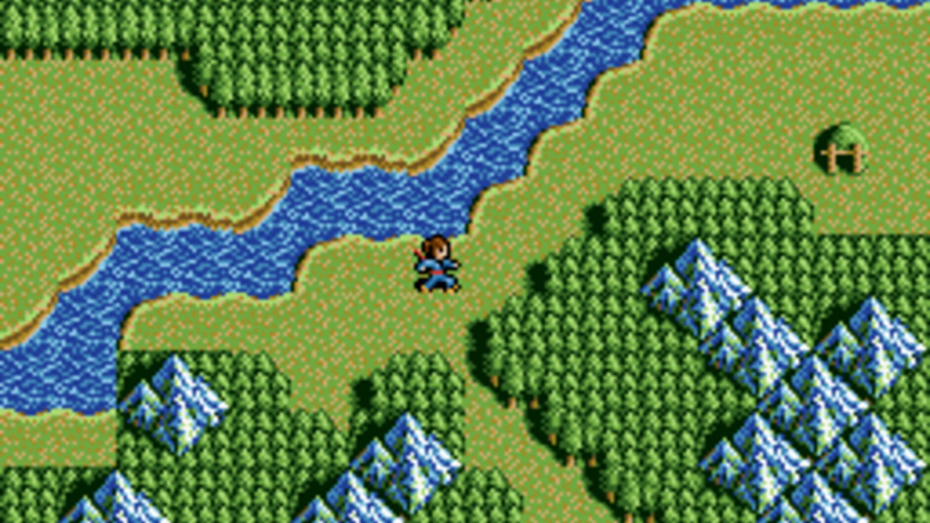 Screenshot for Inindo: Way of the Ninja