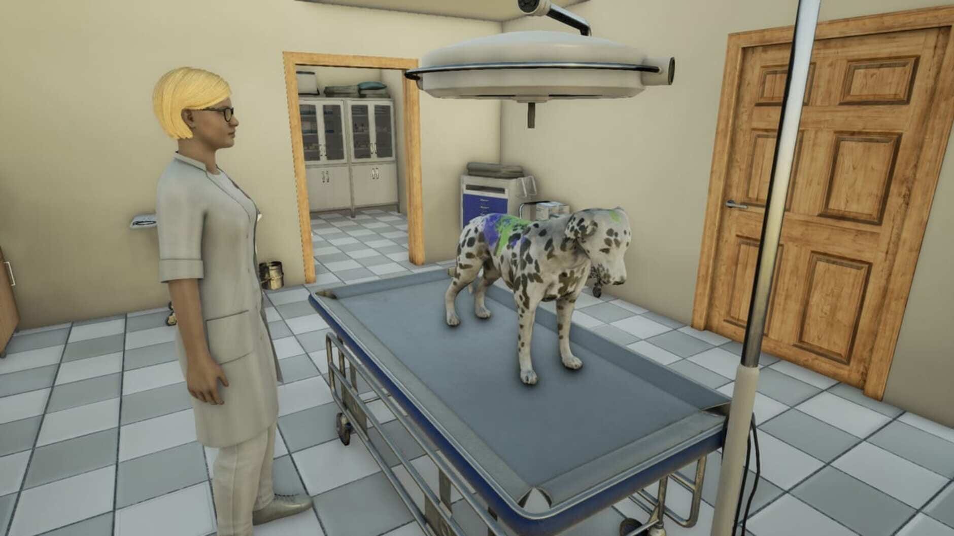 Screenshot for Animal Doctor