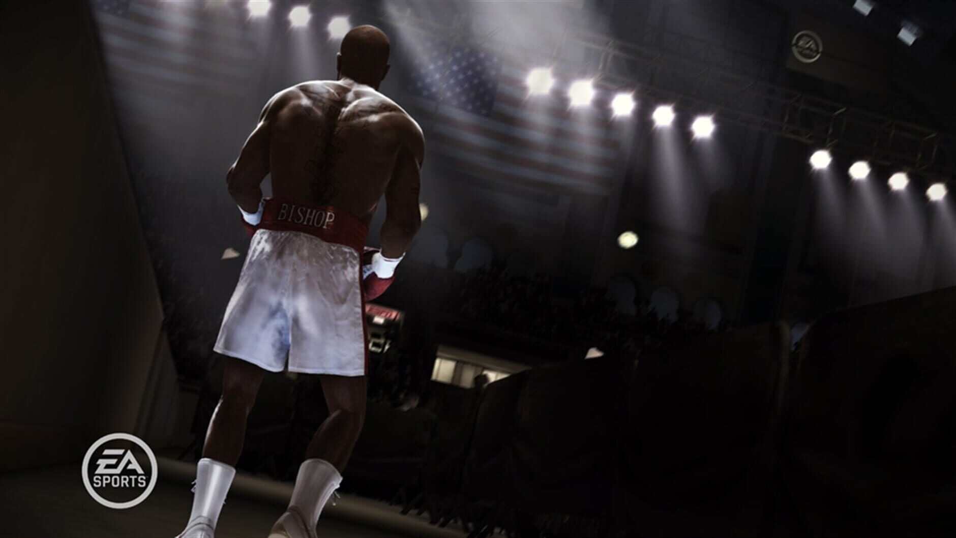 Screenshot for Fight Night Champion