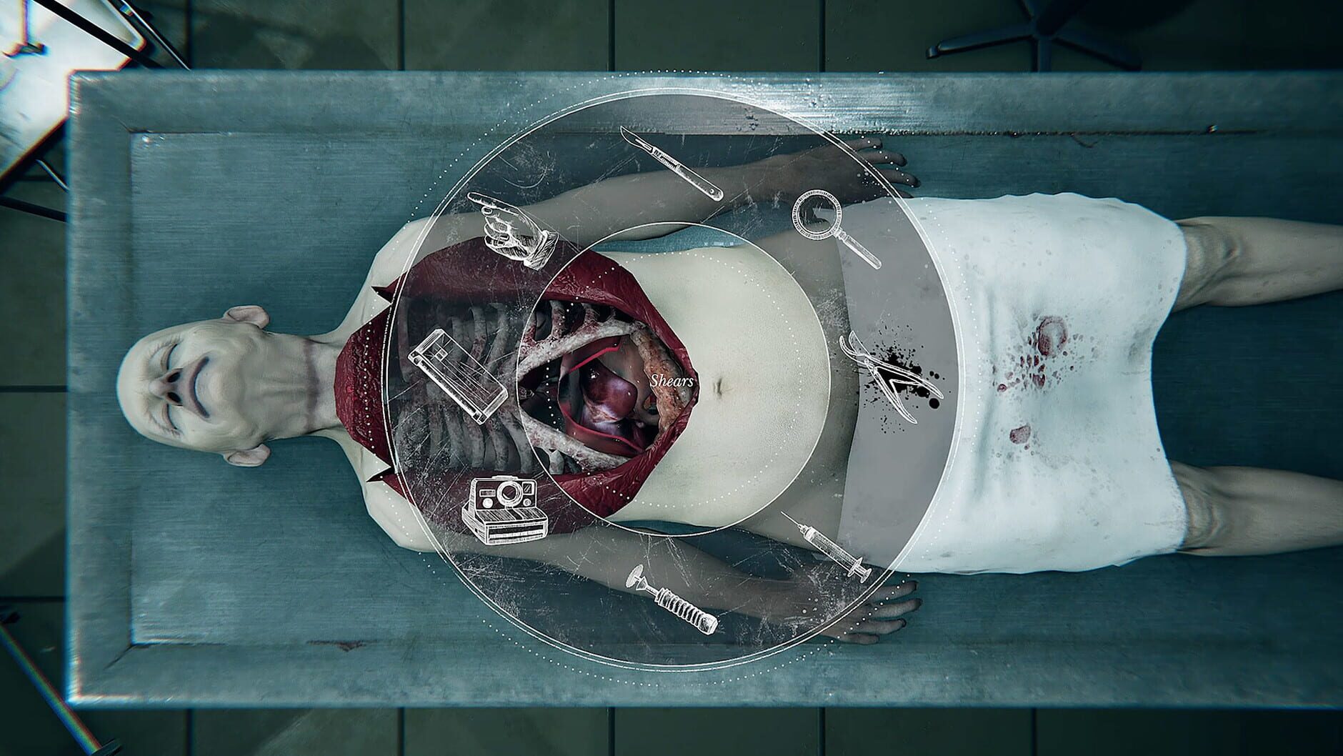 Screenshot for Autopsy Simulator