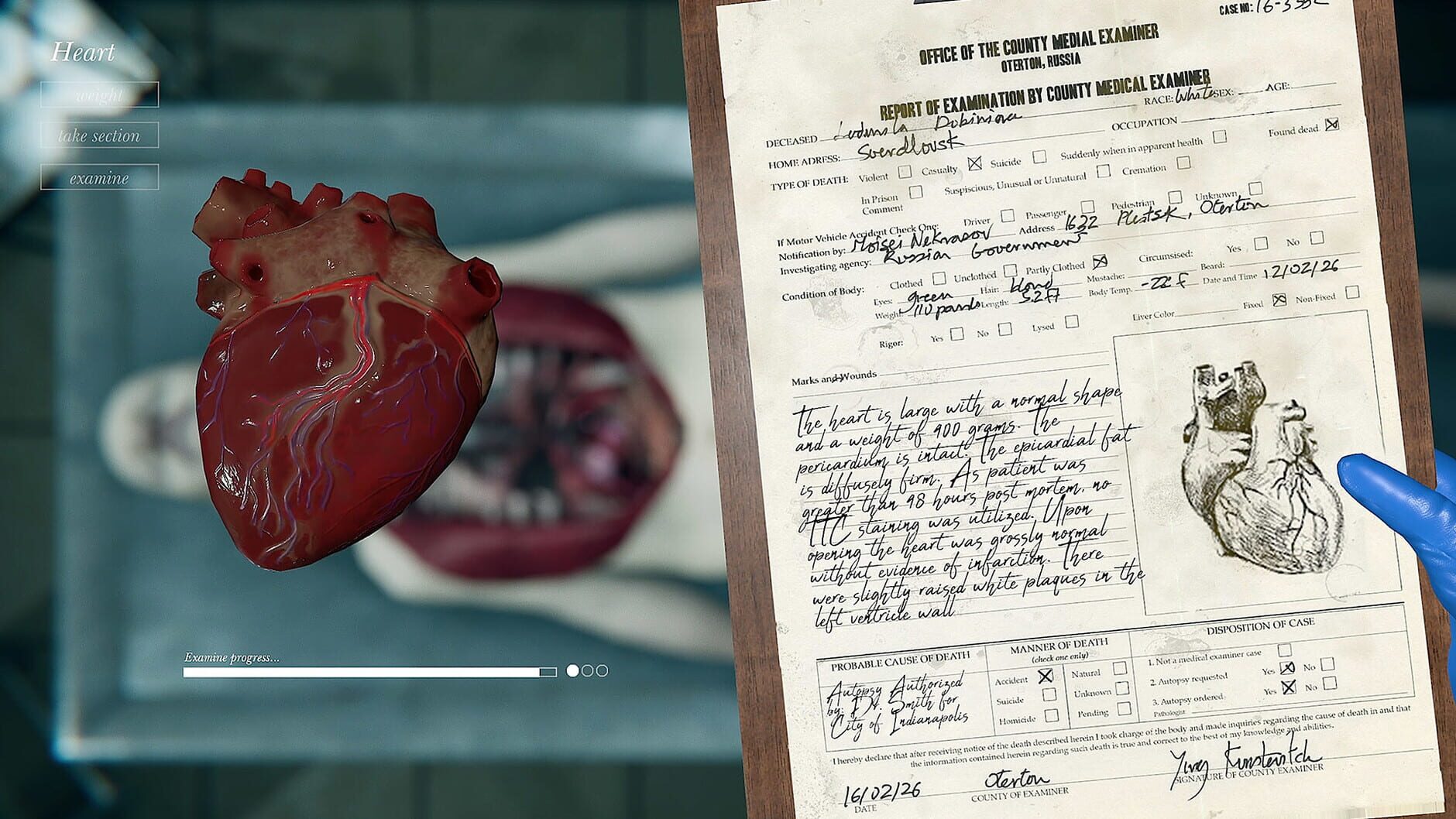 Screenshot for Autopsy Simulator
