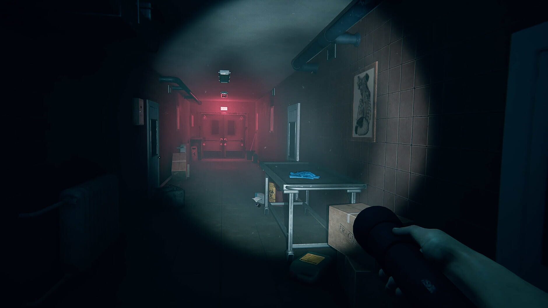 Screenshot for Autopsy Simulator