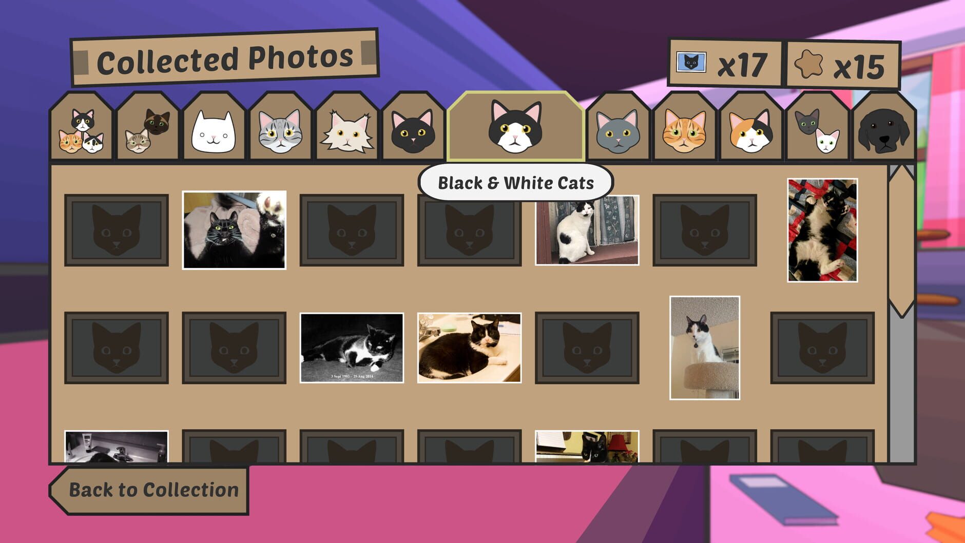 Screenshot for Catlateral Damage: Remeowstered