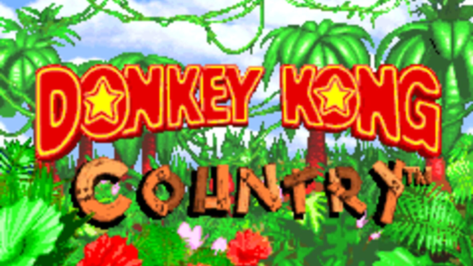 Screenshot for Donkey Kong Country