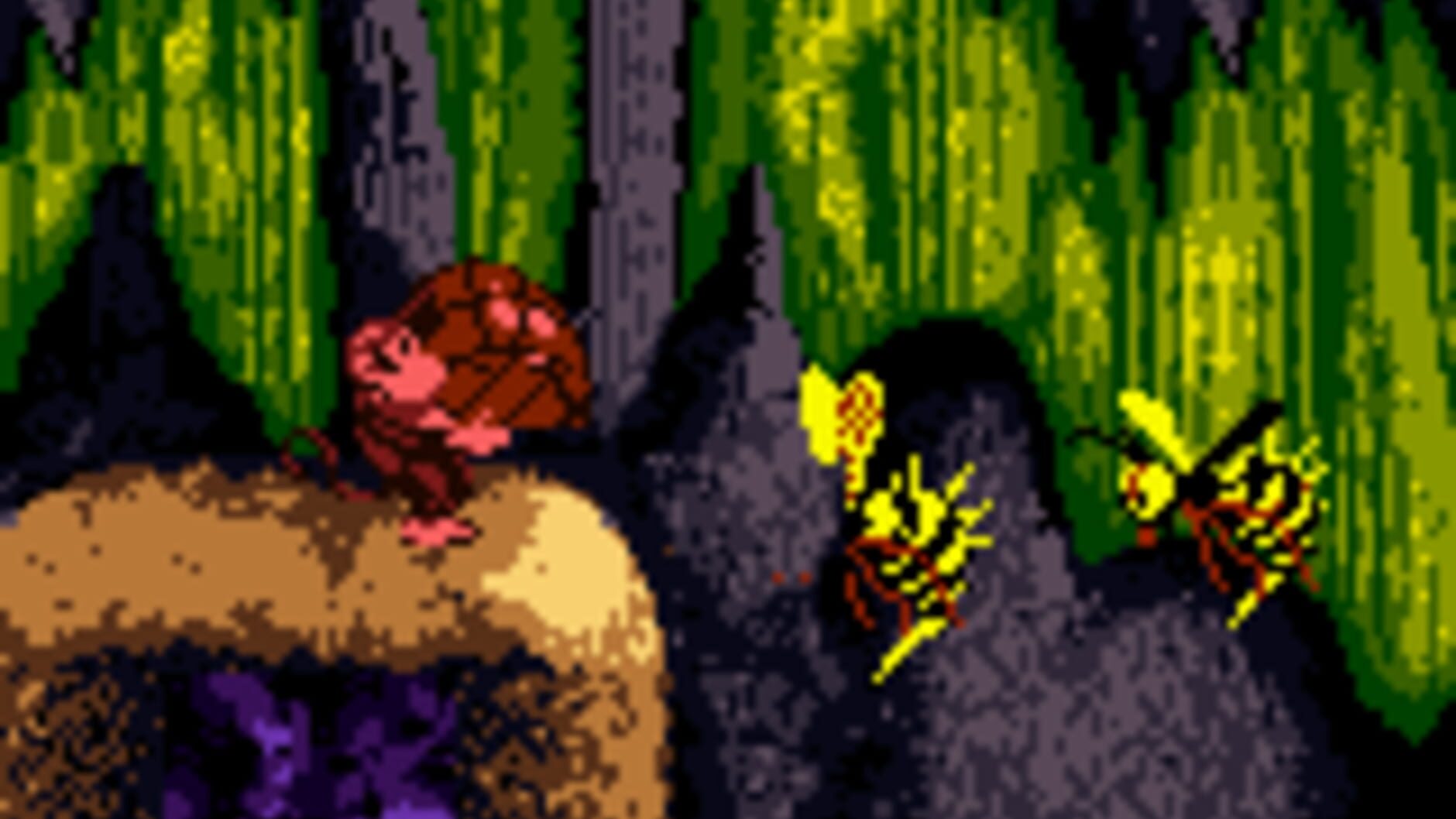 Screenshot for Donkey Kong Country