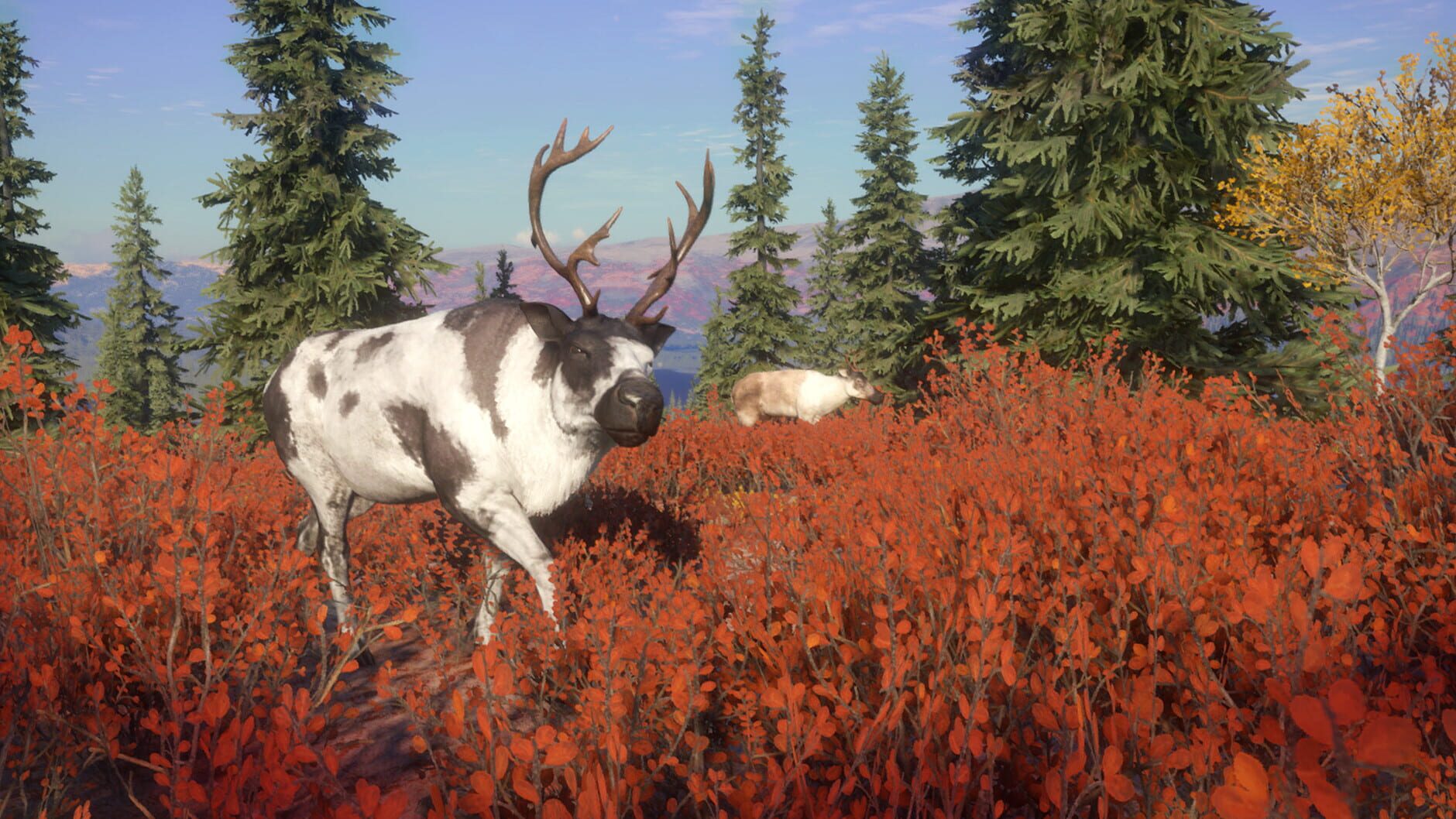 Screenshot for TheHunter: Call of the Wild - Yukon Valley