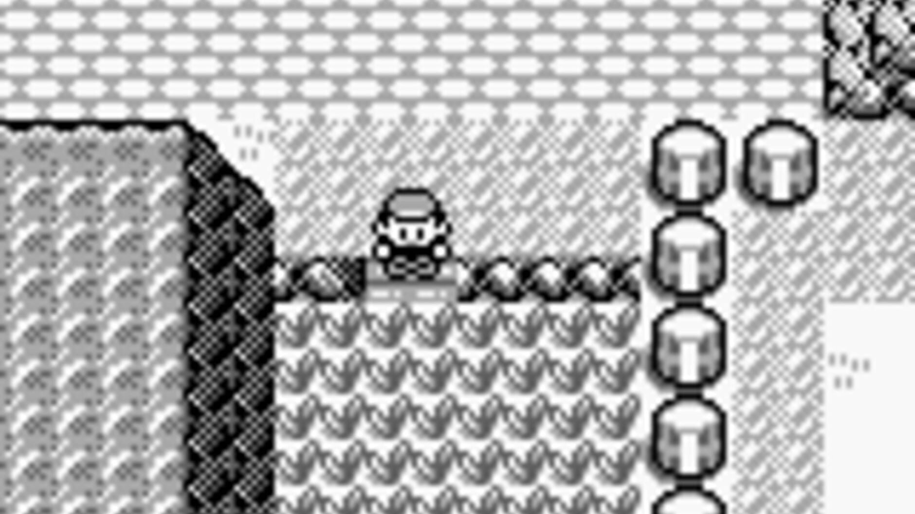 Screenshot for Pokémon Blue Version