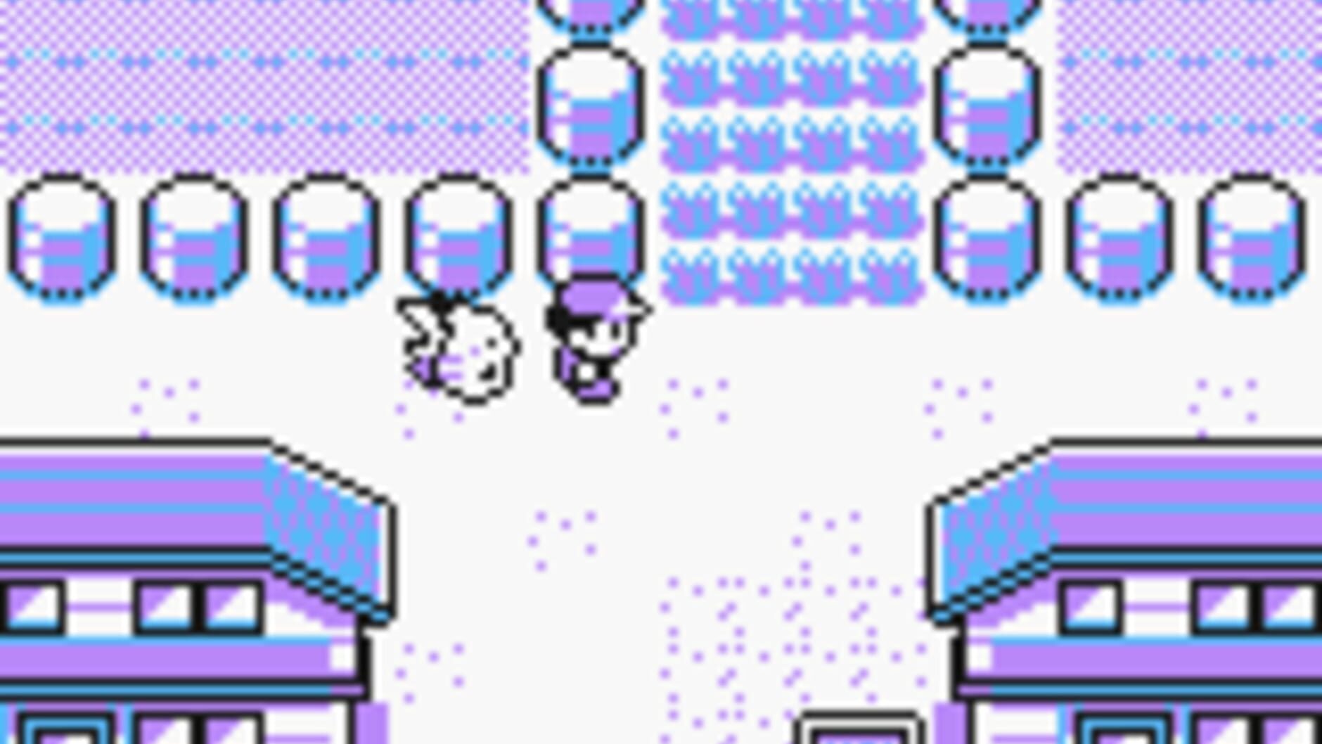 Screenshot for Pokémon Yellow Version: Special Pikachu Edition