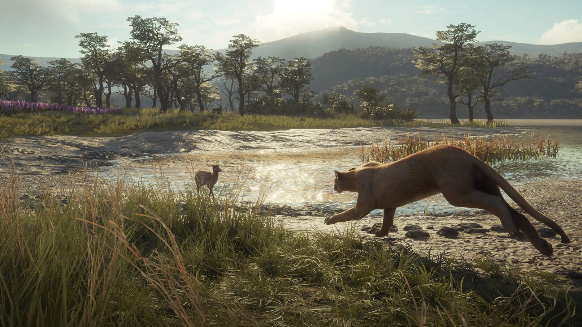 Screenshot for TheHunter: Call of the Wild - Parque Fernando