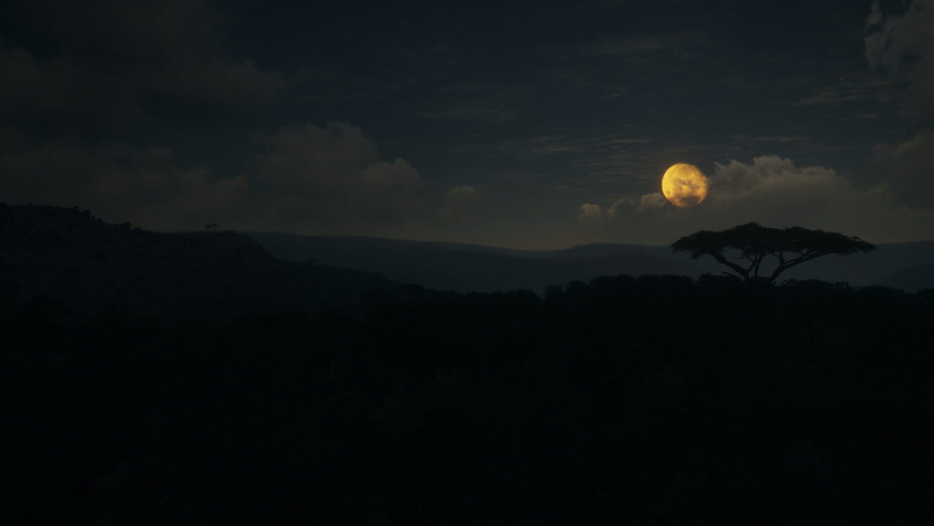 Screenshot for TheHunter: Call of the Wild - Vurhonga Savanna