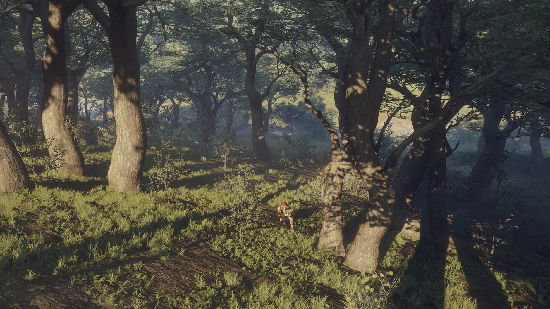 Screenshot for TheHunter: Call of the Wild - Parque Fernando