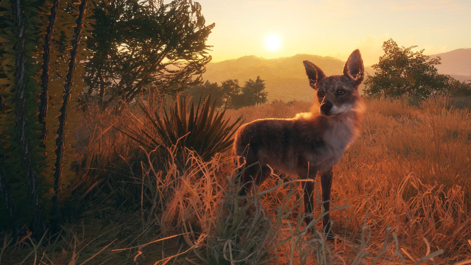 Screenshot for TheHunter: Call of the Wild - Rancho del Arroyo