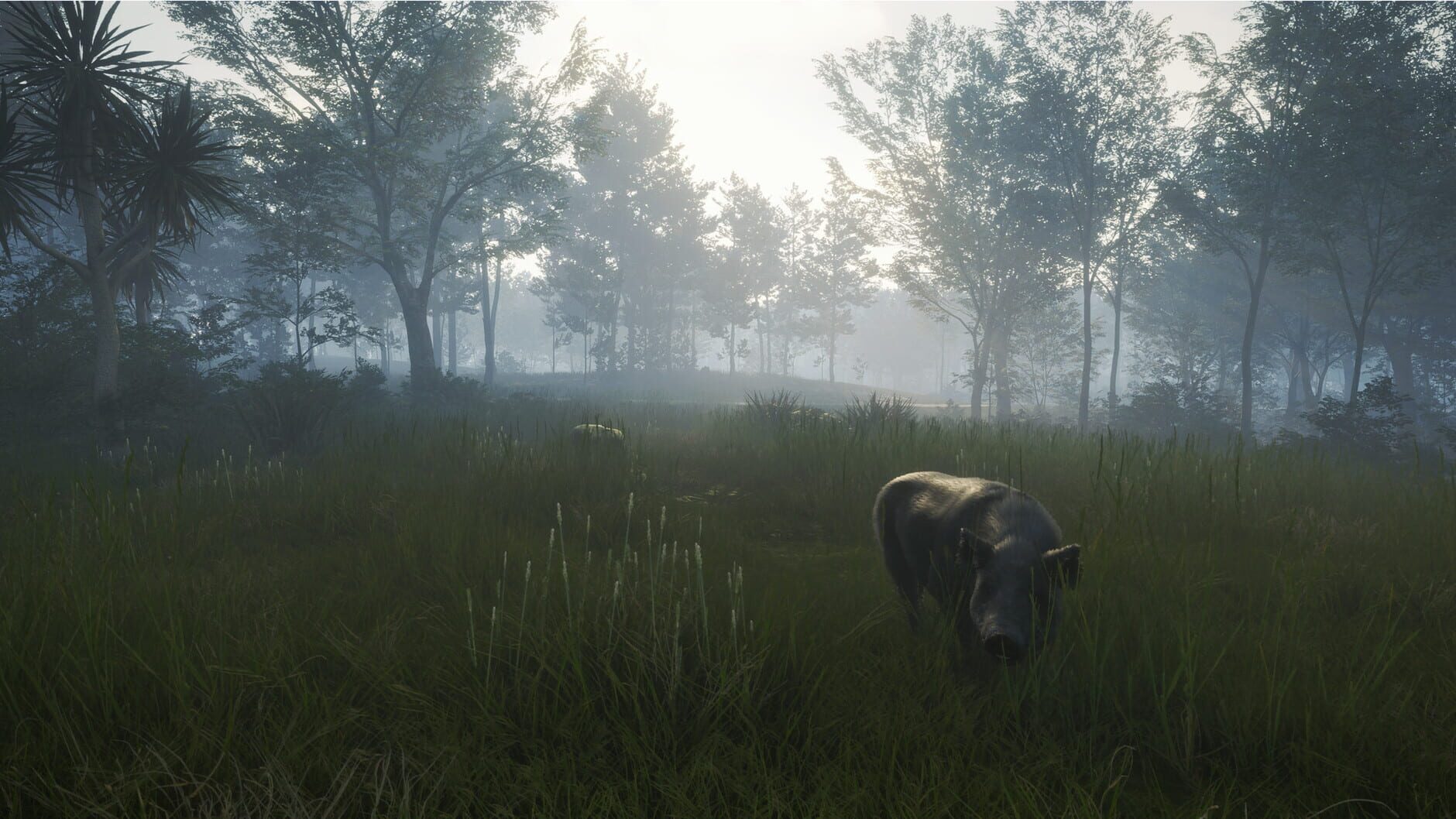 Screenshot for TheHunter: Call of the Wild - Te Awaroa National Park