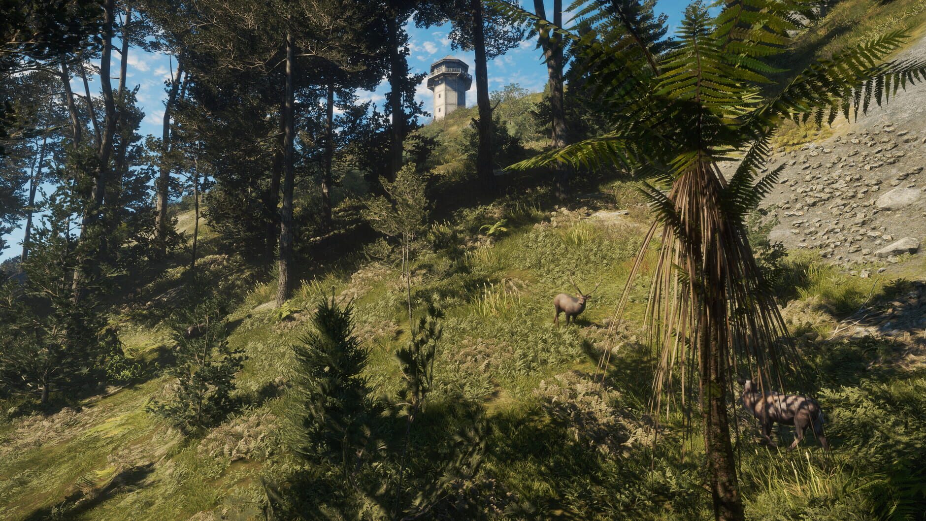 Screenshot for TheHunter: Call of the Wild - Te Awaroa National Park
