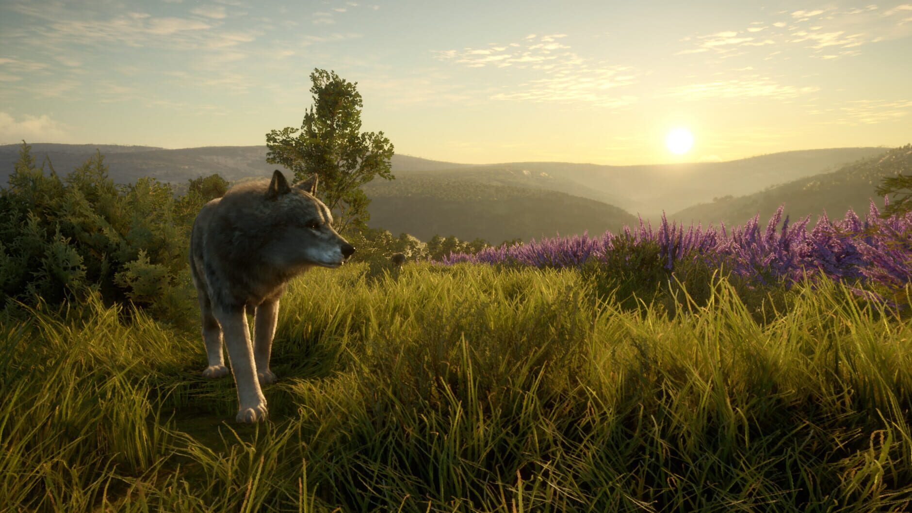 Screenshot for TheHunter: Call of the Wild - Cuatro Colinas Game Reserve