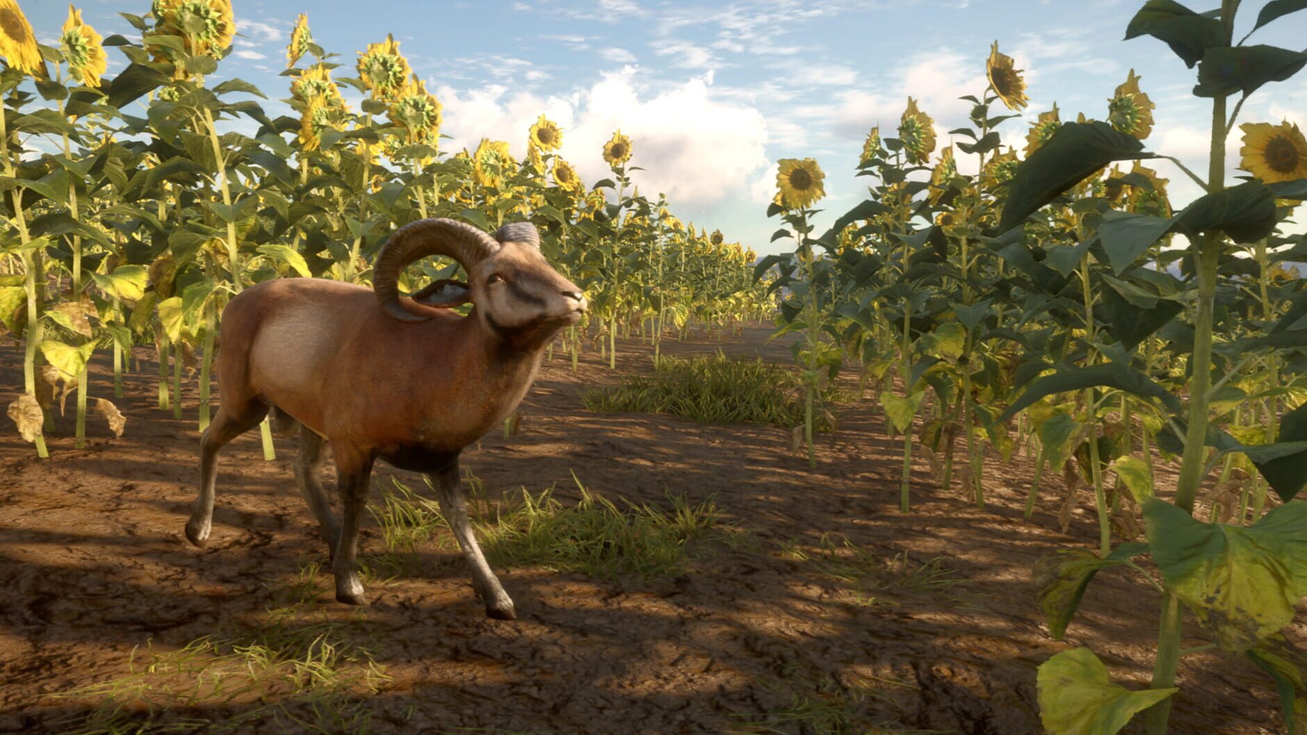 Screenshot for TheHunter: Call of the Wild - Cuatro Colinas Game Reserve