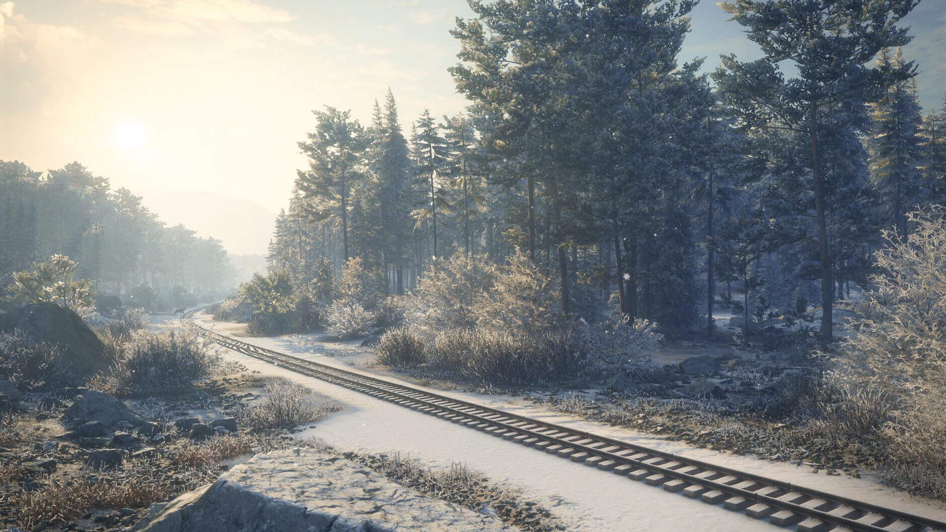 Screenshot for TheHunter: Call of the Wild - Medved-Taiga