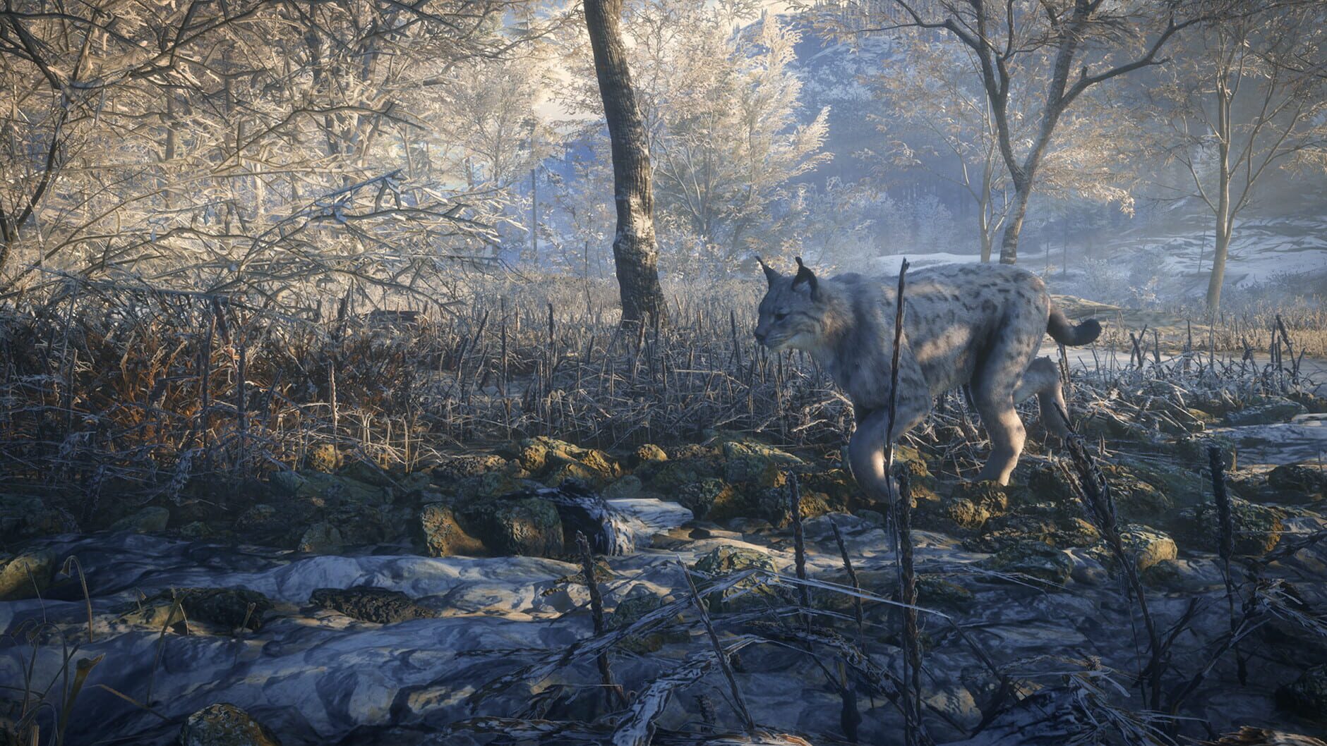 Screenshot for TheHunter: Call of the Wild - Medved-Taiga