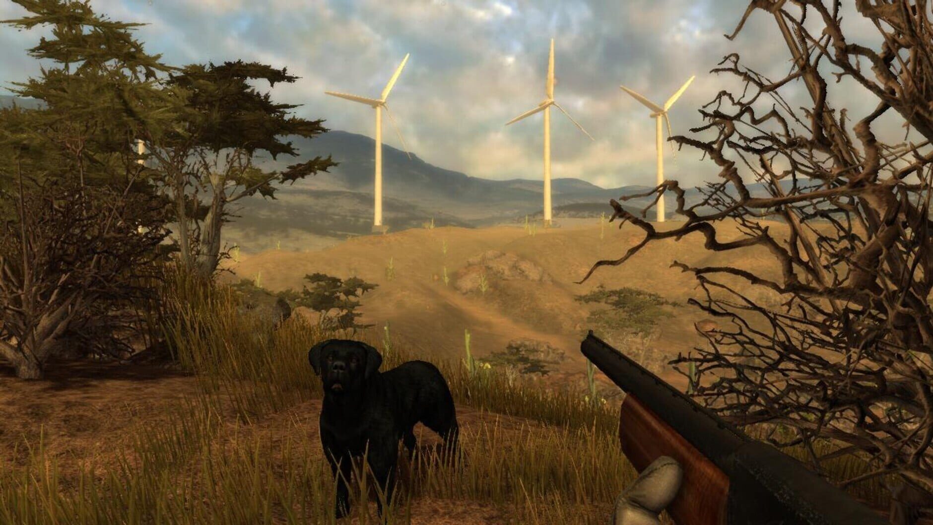 Screenshot for Hunter's Trophy 2: America