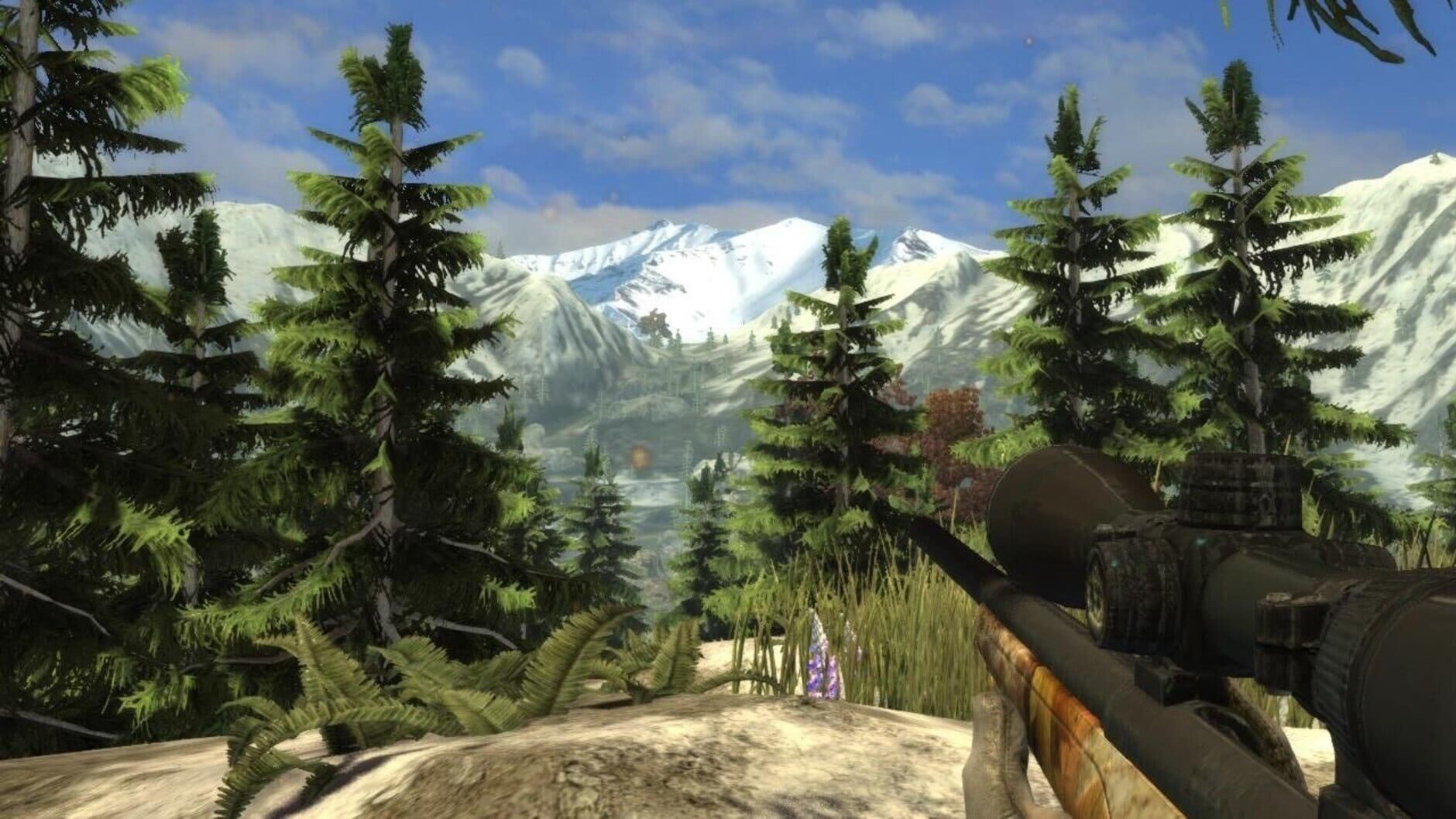 Screenshot for Hunter's Trophy 2: America