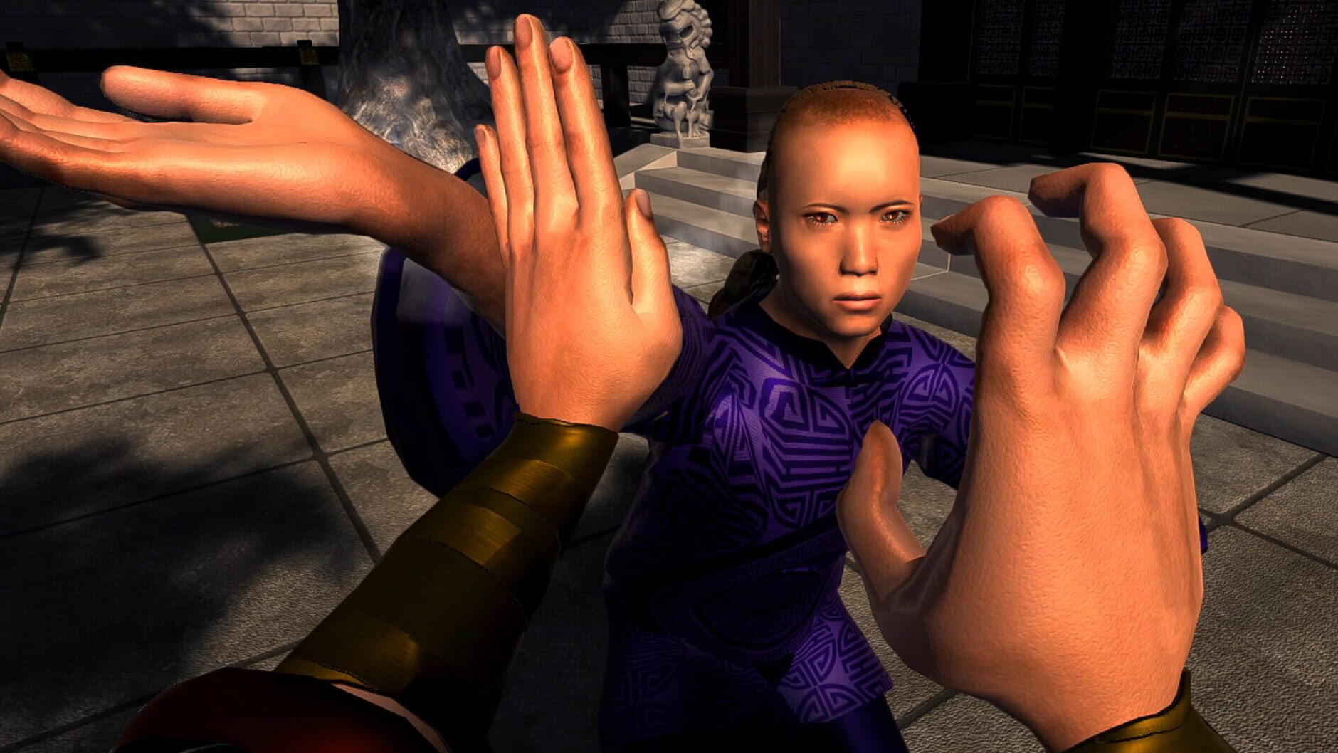 Screenshot for Dragon Fist: VR Kung Fu