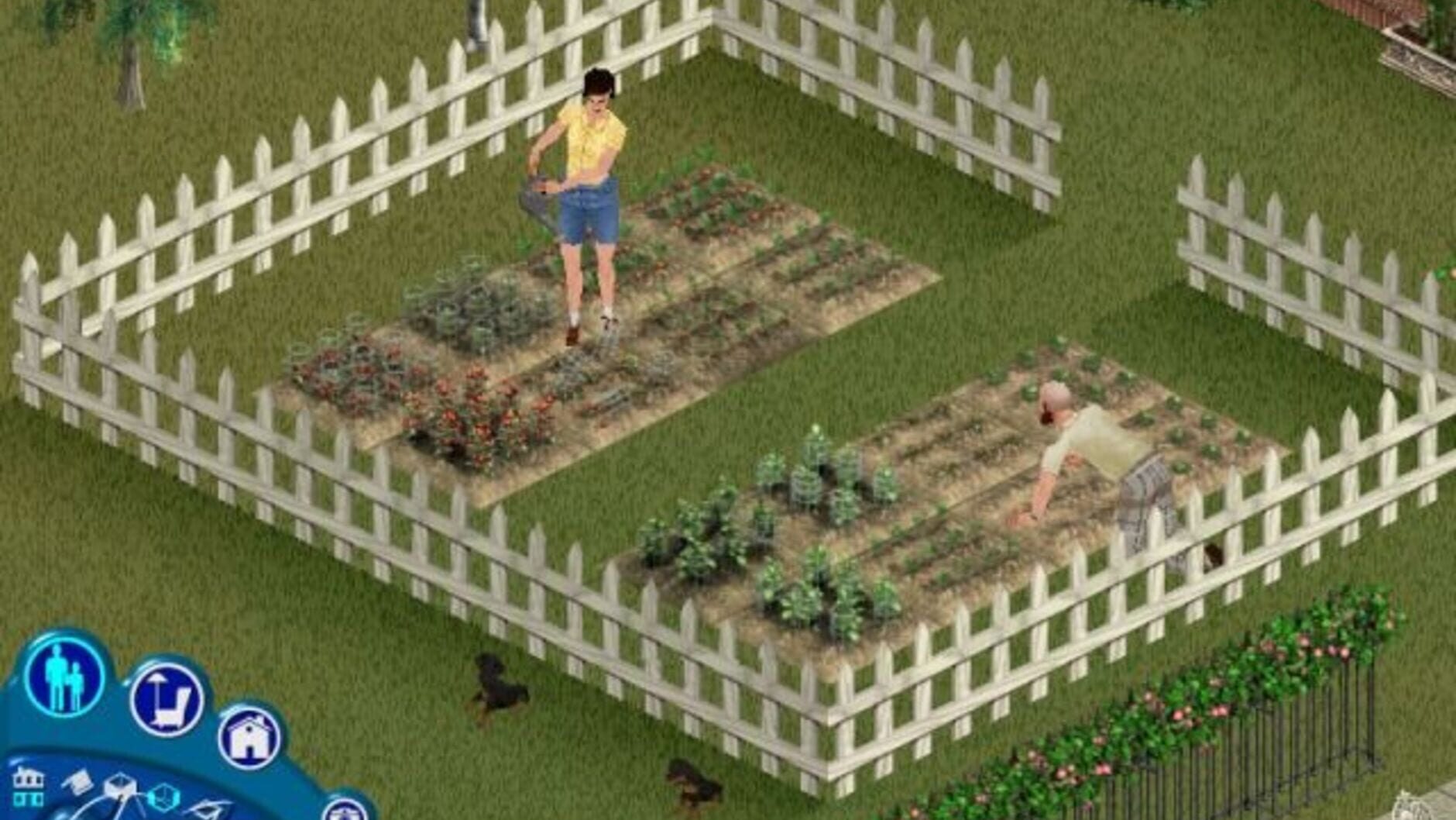 Screenshot for The Sims: Unleashed