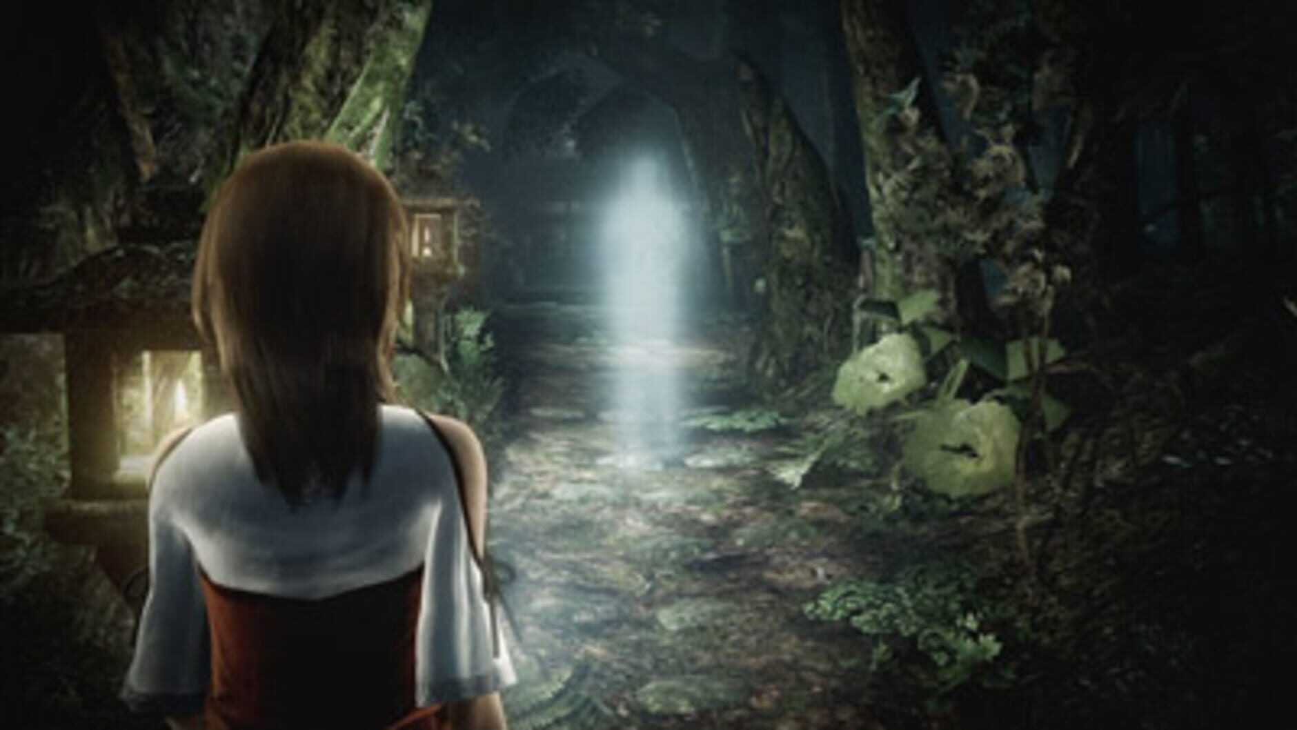 Screenshot for Fatal Frame: Maiden of Black Water