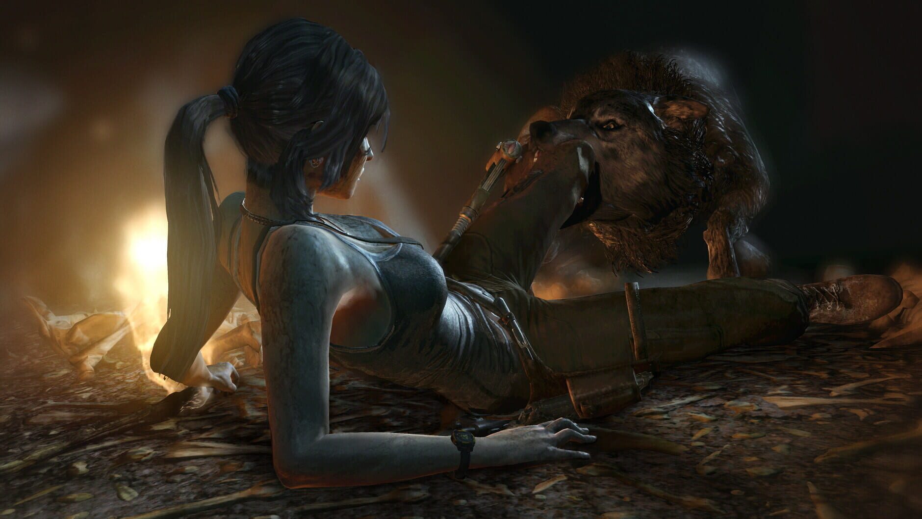 Screenshot for Tomb Raider: Game of the Year Edition